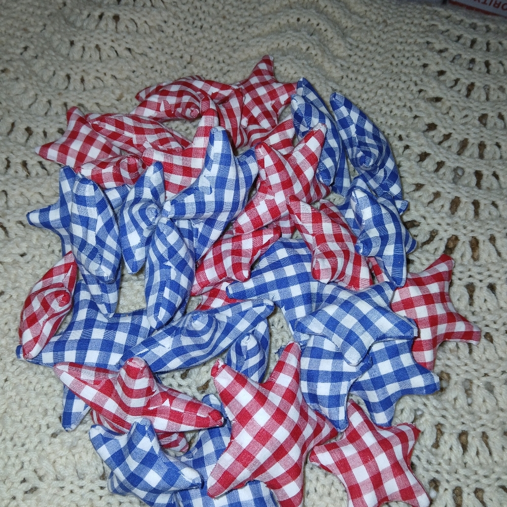 Patriotic USA 4th July Fabric Covered Stars Hardshell  Accessory